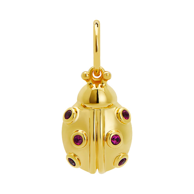 ladybug charm