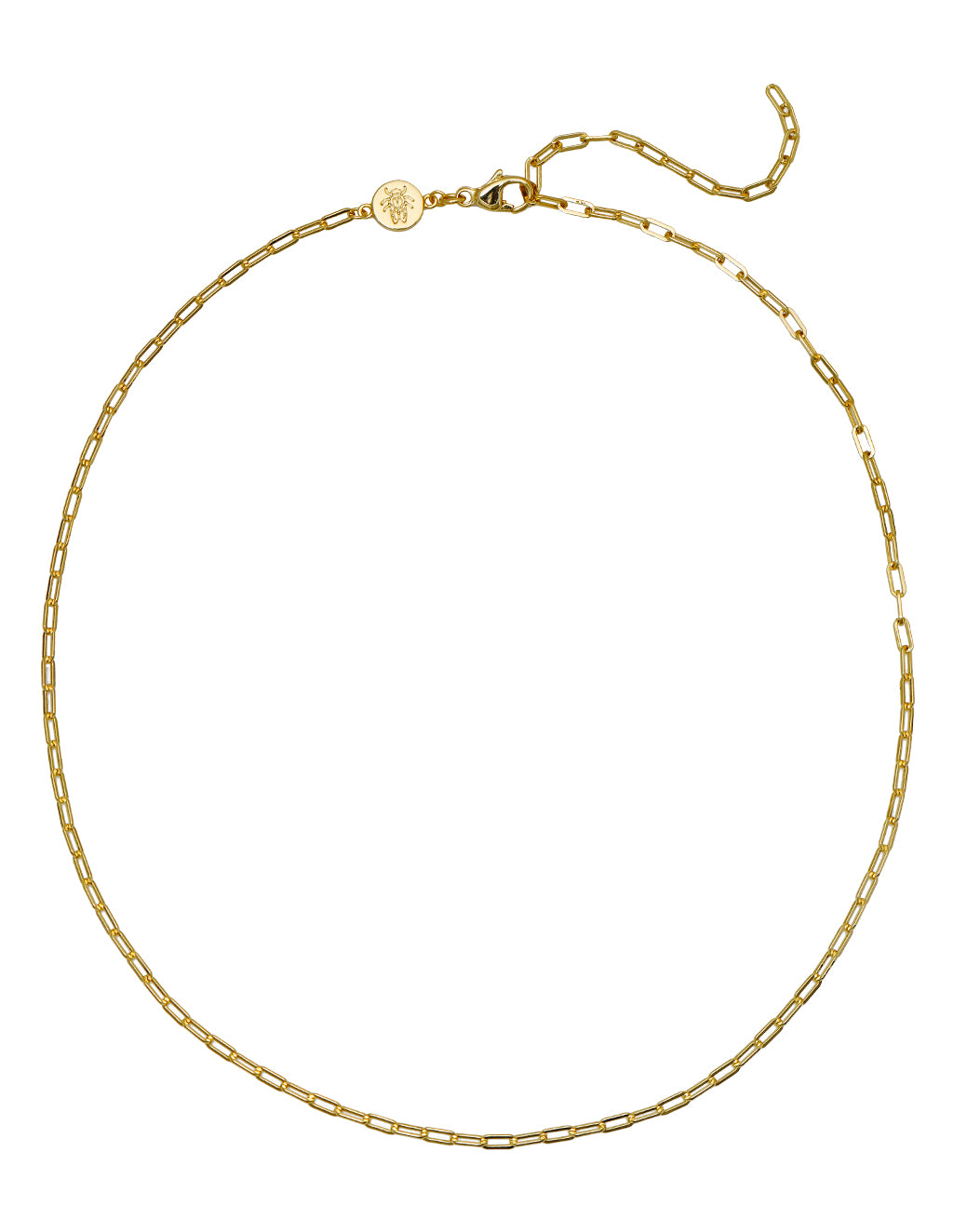tiny paperclip chain