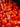 tomato charm1
