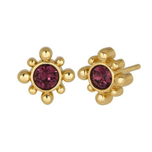 Load image into Gallery viewer, February Birthstone Earrings

