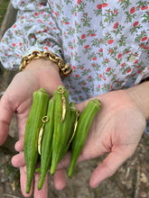 Load image into Gallery viewer, Okra Pod Charm
