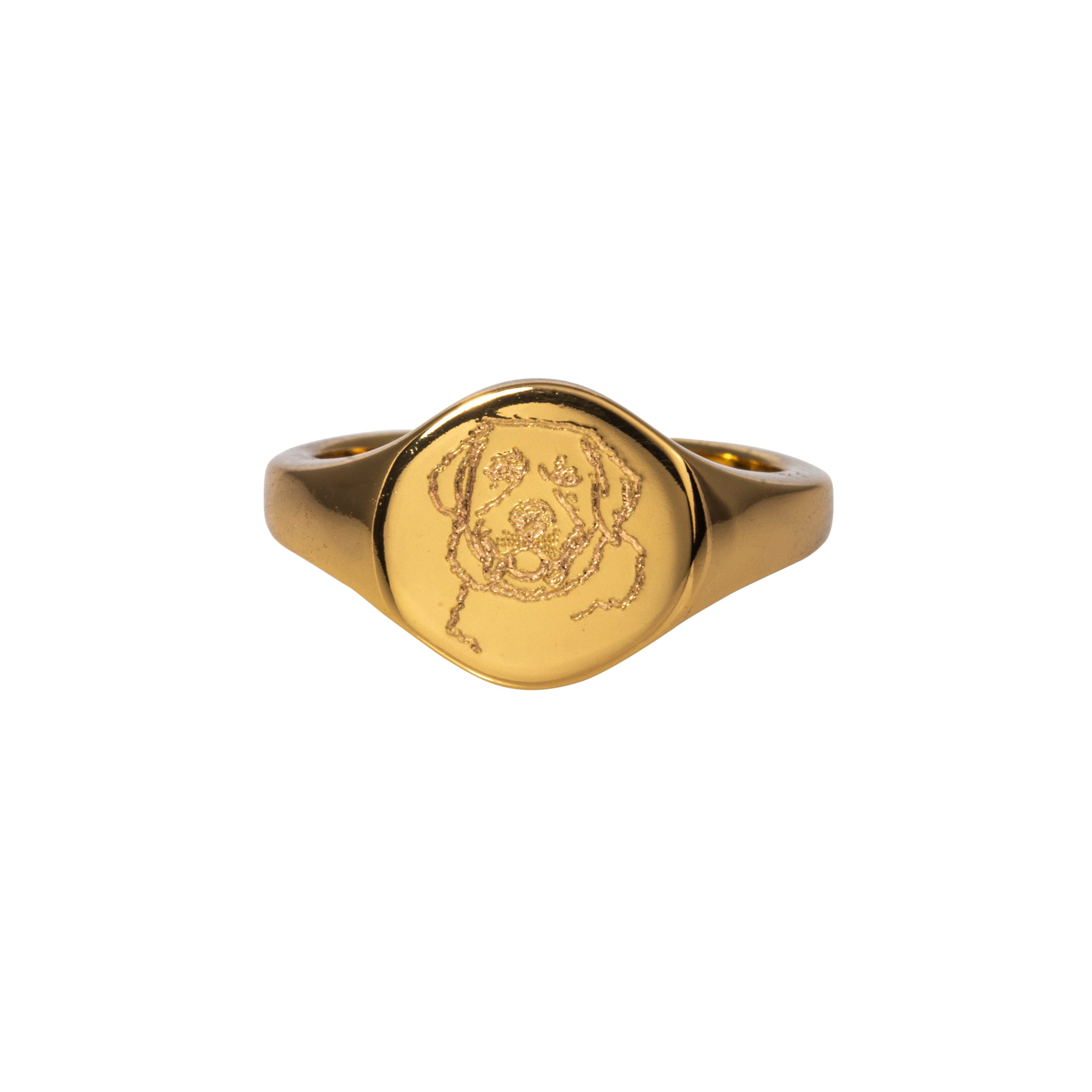 Coat of Arms Ring, Family Ring, Crest Ring, Seal Signet Ring, Gold Man Ring,  Graduation Ring, Man Signet Ring, Chevaliere Homme, Gold Ring - Etsy | Mens gold  signet rings, Family crest