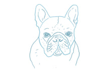 Load image into Gallery viewer, Frenchie Pup Token
