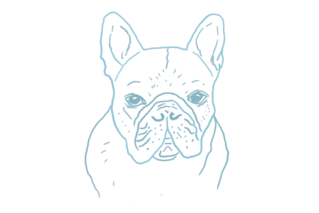 Frenchie Pup Token