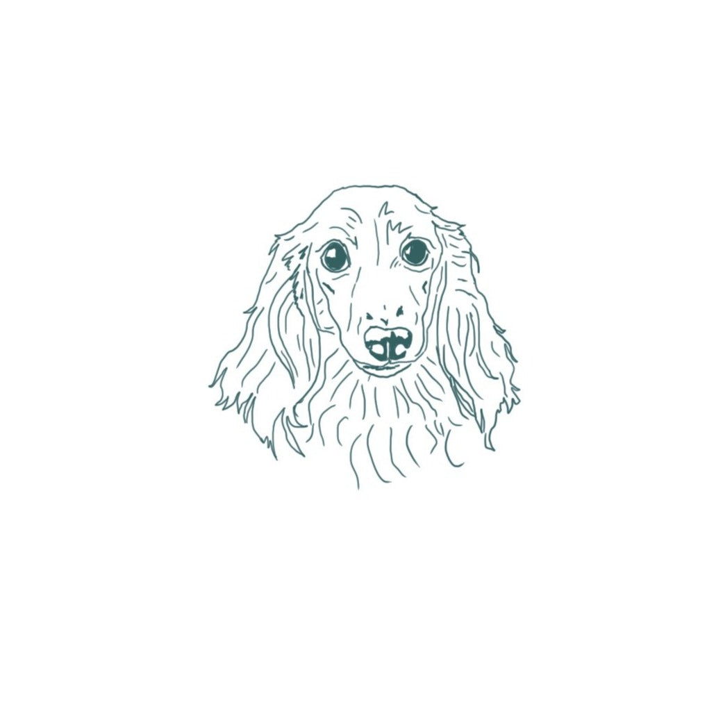 Long Haired Dachshund Pup Token