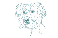 Load image into Gallery viewer, Australian Shepherd Pup Token
