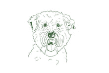 Load image into Gallery viewer, Soft Coated Wheaten Terrier Pup Token
