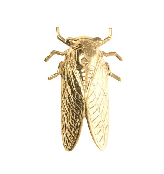 Goldbug Pin